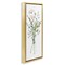 Stupell Industries Wild Country Herb Bundle Floating Frame By Livi Finn